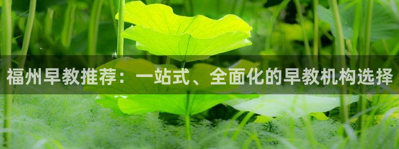 恒行娱乐度74ooo5聘霖:福州早教推荐:一站式、全面化的早教机构选择