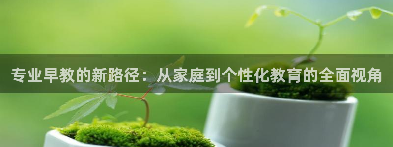 恒行娱乐招收点赞5ll533主管:专业早教的新路径:从家庭到个性化教育的全面视角