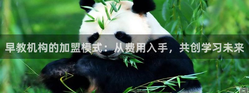 恒行娱乐冯74OOO5:早教机构的加盟模式:从费用入手,共创学习未来