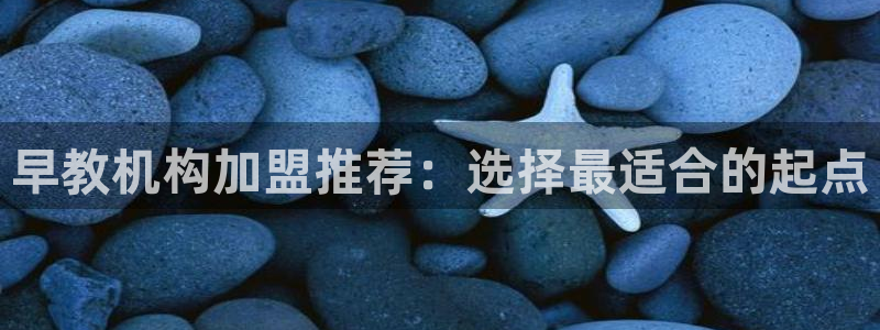 恒行5娱乐:早教机构加盟推荐:选择最适合的起点