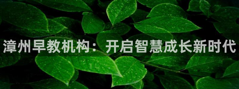 恒在5行中代表什么数字:漳州早教机构:开启智慧成长新时代