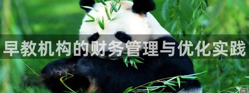 恒行2朱74OOO5:早教机构的财务管理与优化实践