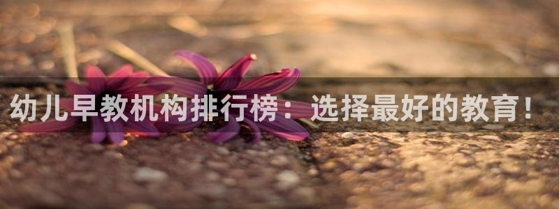 恒行2地74OOO5:幼儿早教机构排行榜:选择最好的教育!
