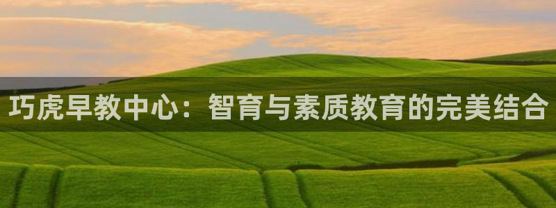 恒行代理总代主导 6ll5l：巧虎早教中心：智育与素质教育的完美结合