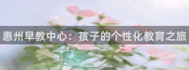 恒行登录就搜6ll5l：惠州早教中心：孩子的个性化教育之旅