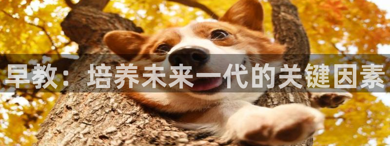 恒行主管首问6ll5l：早教：培养未来一代的关键因素