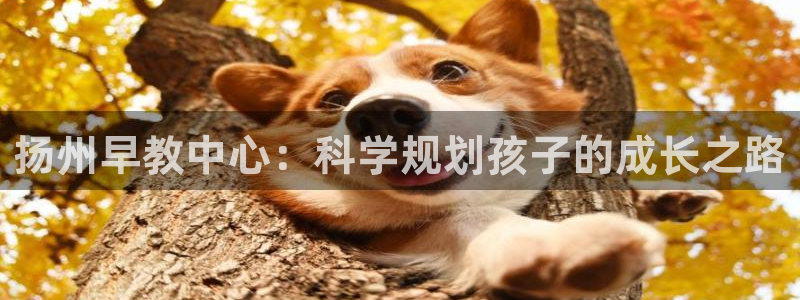 恒行登录就搜6ll5l：扬州早教中心：科学规划孩子的成长之路