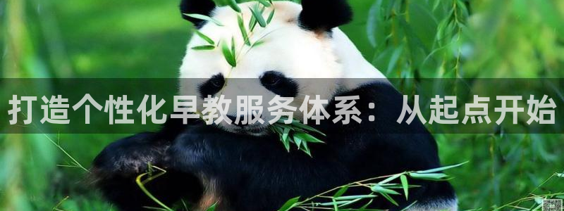 恒行2陈74OOO5：打造个性化早教服务体系：从起点开始
