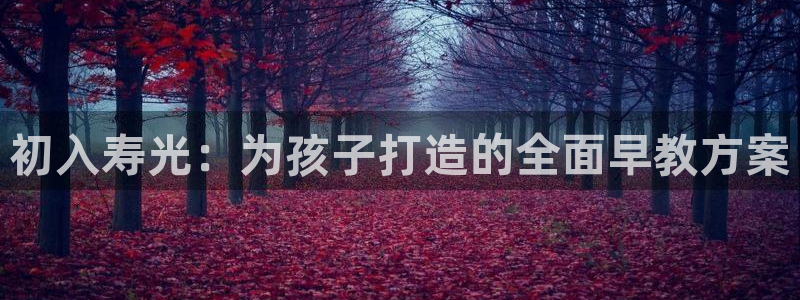 恒行2尤74OOO5：初入寿光：为孩子打造的全面早教方案