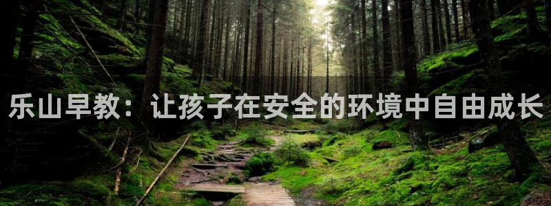 恒行2朱74OOO5：乐山早教：让孩子在安全的环境中自由成长