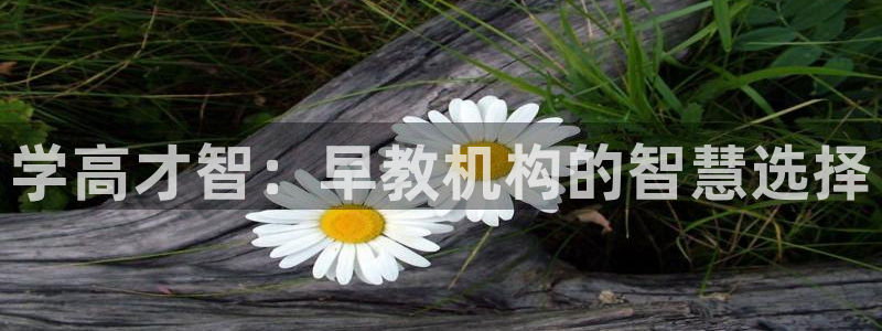 恒行娱乐芍皇74ooo5蛹：学高才智：早教机构的智慧选择