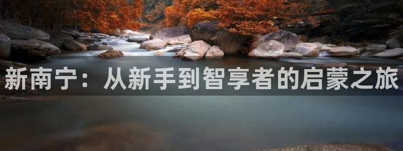 恒行2周74OOO5：新南宁：从新手到智享者的启蒙之旅