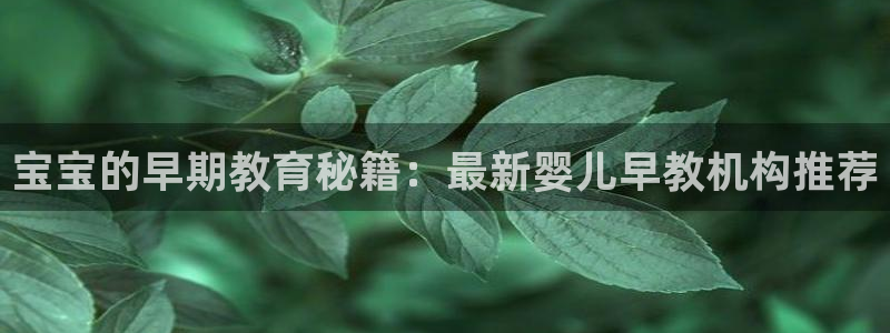 恒行2韩74OOO5:宝宝的早期教育秘籍:最新婴儿早教机构推荐