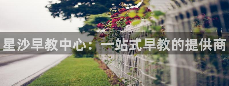 恒行娱乐卫74OOO5:星沙早教中心:一站式早教的提供商