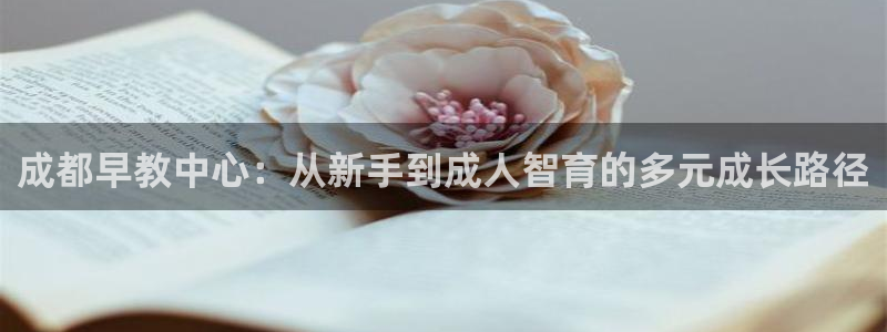 恒行开户全2O5o5O:成都早教中心:从新手到成人智育的多元成长路径