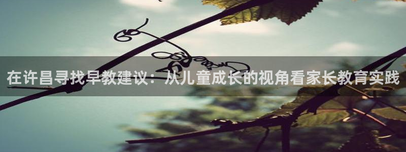 恒行代理总代主导 6ll5l:在许昌寻找早教建议:从儿童成长的视角看家长教育实践