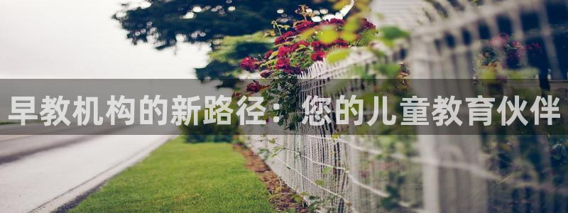 恒行2杨74OOO5:早教机构的新路径:您的儿童教育伙伴