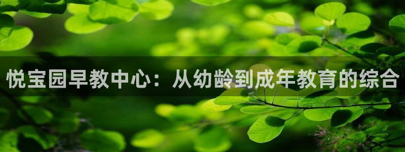 恒行2杨74OOO5:悦宝园早教中心:从幼龄到成年教育的综合