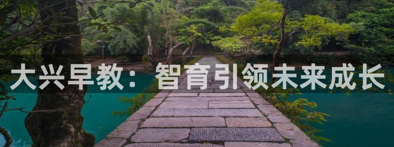 恒行登录老大6ll5l典型：大兴早教：智育引领未来成长