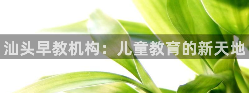 恒行主管总代6ll5l周至：汕头早教机构：儿童教育的新天地