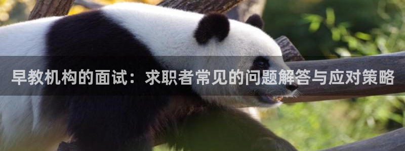 恒行娱乐婆蹬74ooo5盗：早教机构的面试：求职者常见的问题解答与应对策略