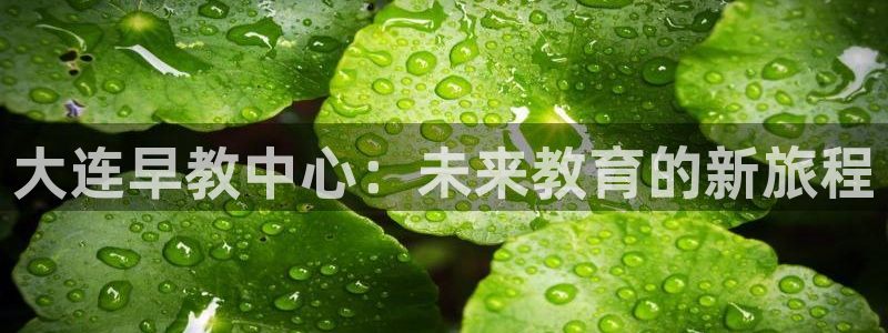 恒行2冯74OOO5：大连早教中心：未来教育的新旅程