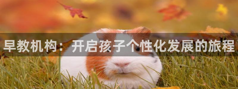 恒指5行情 如来再我心：早教机构：开启孩子个性化发展的旅程