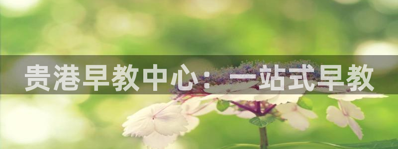 恒行开户全2O5o5O：贵港早教中心：一站式早教