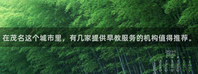 恒行娱乐吕74OOO5：在茂名这个城市里，有几家提供早教服务的机构值得推荐。