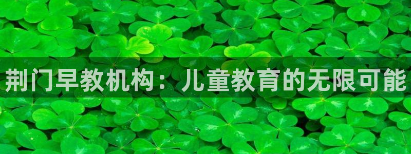 恒行娱乐寻问74 5：荆门早教机构：儿童教育的无限可能