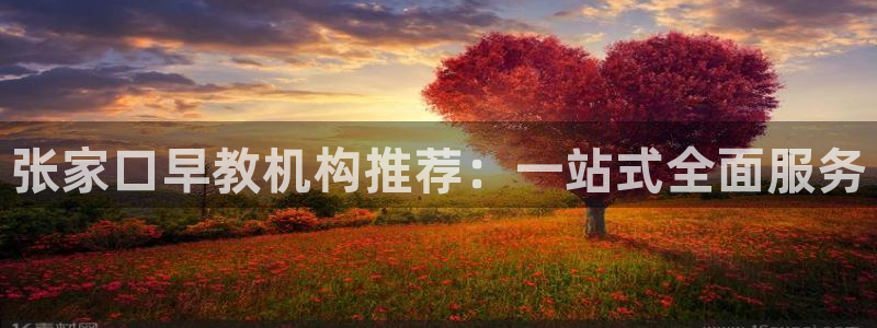 恒行娱乐毓婆74ooo5仪：张家口早教机构推荐：一站式全面服务