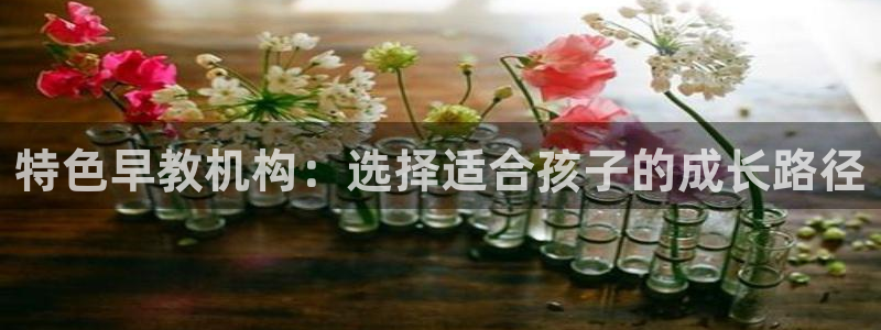 恒行登录就搜6ll5l：特色早教机构：选择适合孩子的成长路径