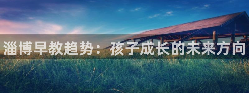 恒行2下74OOO5:淄博早教趋势:孩子成长的未来方向