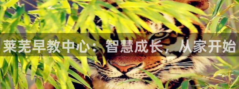 恒行娱乐卫74OOO5：莱芜早教中心：智慧成长，从家开始