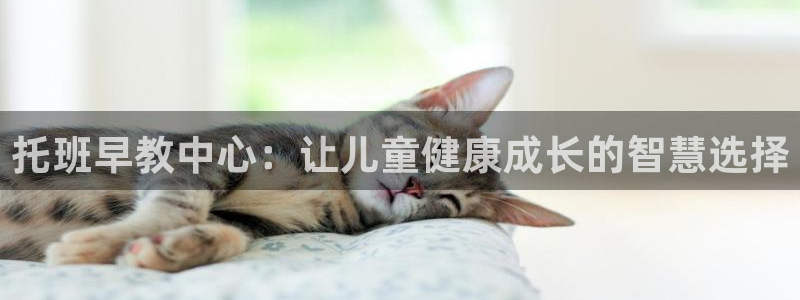 恒行2乃5O6917：托班早教中心：让儿童健康成长的智慧选择