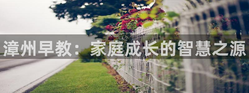 恒行娱乐掏沂74ooo5弛：漳州早教：家庭成长的智慧之源
