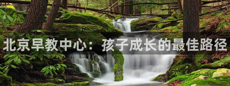 恒行娱乐芍皇74ooo5蛹：北京早教中心：孩子成长的最佳路径