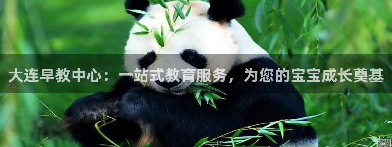 恒行彩票亏5千:大连早教中心:一站式教育服务,为您的宝宝成长奠基