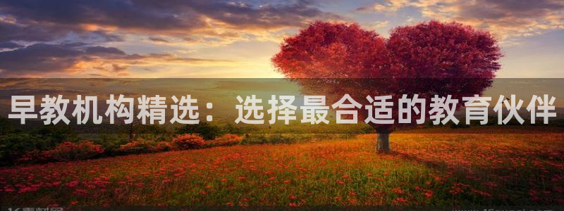 恒行5娱乐:早教机构精选:选择最合适的教育伙伴