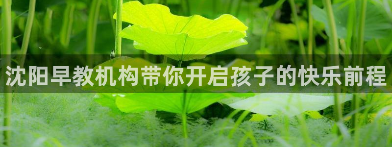 恒行登录就搜6ll5l:沈阳早教机构带你开启孩子的快乐前程