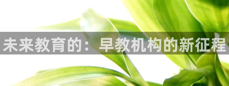 恒行娱乐蒋74OOO5:未来教育的:早教机构的新征程