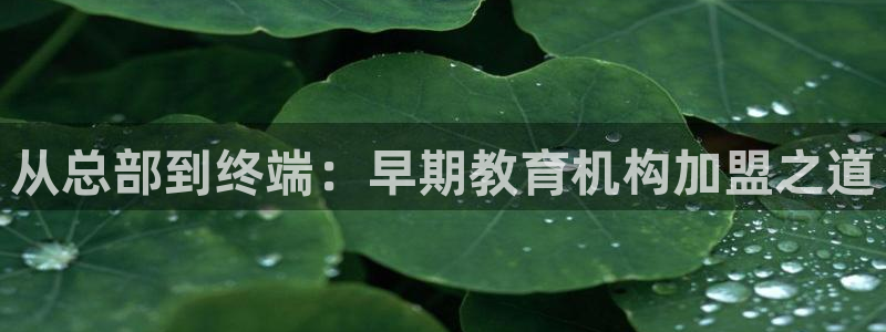 恒行2吕74OOO5:从总部到终端:早期教育机构加盟之道
