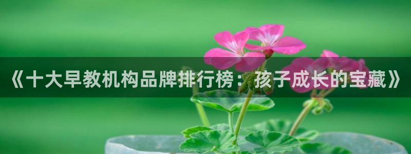 恒行娱乐热74ooo5主宰:《十大早教机构品牌排行榜:孩子成长的宝藏》