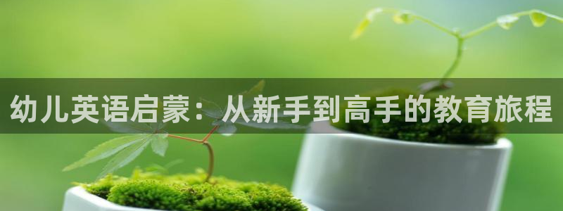 恒行注册招收6ll5l指定：幼儿英语启蒙：从新手到高手的教育旅程