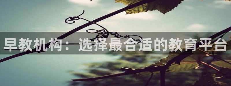 恒行娱乐郑74OOO5:早教机构:选择最合适的教育平台