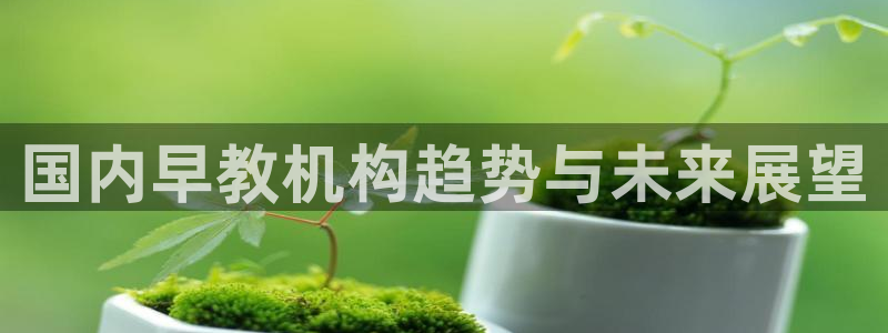 恒在5行中代表什么数字:国内早教机构趋势与未来展望