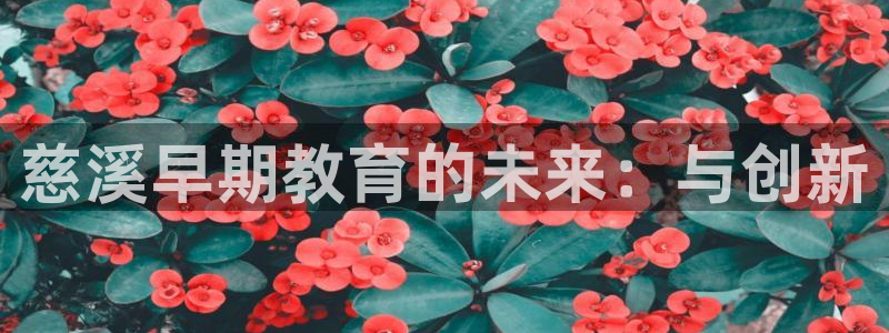 恒行开户全2O5o5O:慈溪早期教育的未来:与创新