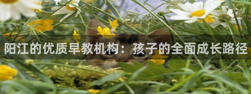 恒行2王74OOO5:阳江的优质早教机构:孩子的全面成长路径