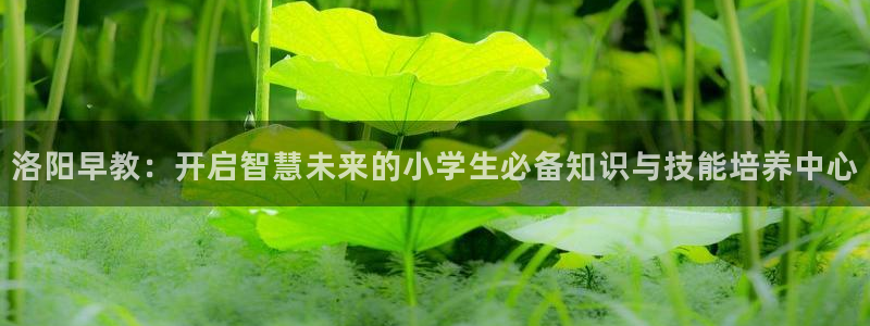 恒行娱乐卫74OOO5:洛阳早教:开启智慧未来的小学生必备知识与技能培养中心