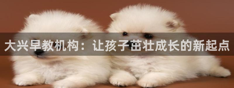 恒行娱乐蜗74ooo5指磁:大兴早教机构:让孩子茁壮成长的新起点